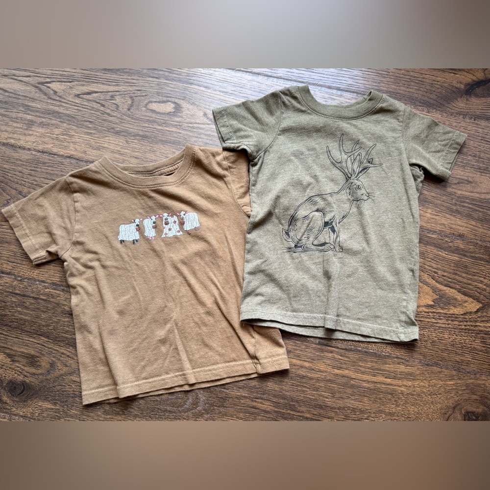 Kids Gender Neutral Brown Graphic T-Shirts Set